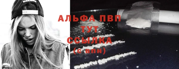 мяу мяу мука Надым