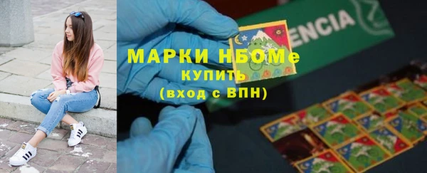 стаф Белокуриха