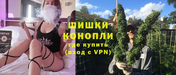 стаф Белокуриха