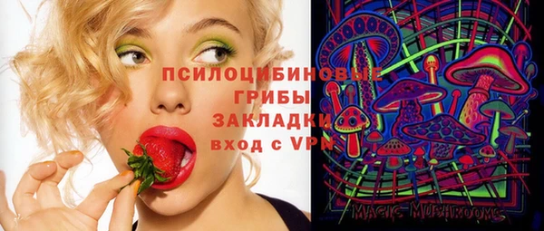 мяу мяу мука Беломорск