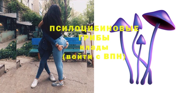 a pvp Михайловск