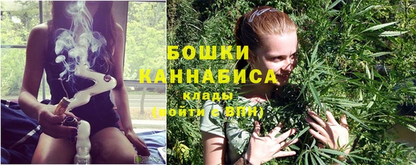 мяу мяу мука Беломорск